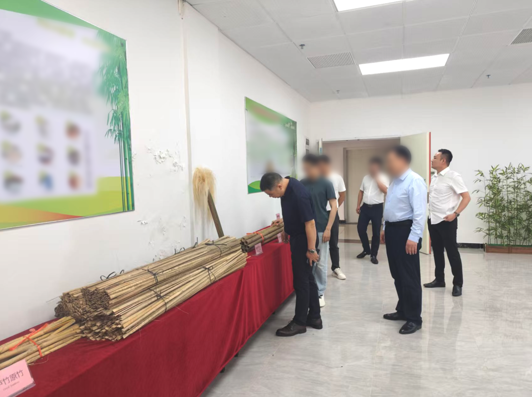 研發實力雄厚，行業知名度高！湖南某地方政府實地對接高附加值竹纖維生產擴建投資選址項目